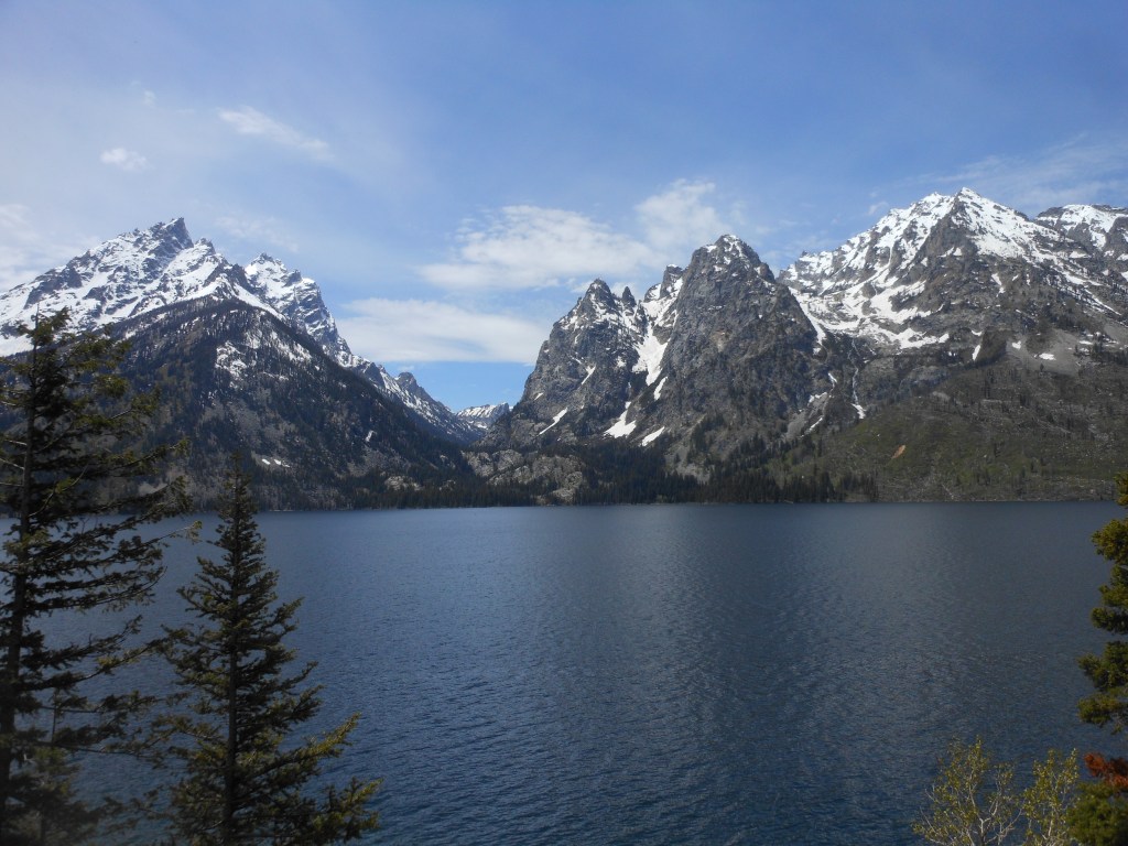 But What About Zoos?