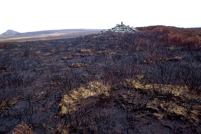 The Cost of&nbsp;Disaster